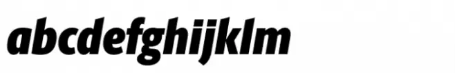 Berlingske Sans Condensed Std Black Italic