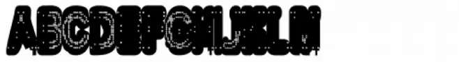 Bias Bold
