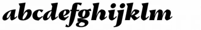 Conqueror Black Italic