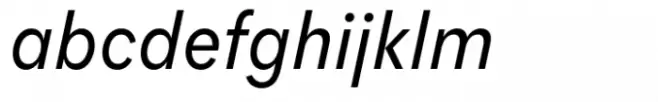 Flink Neue Cmp Regular Italic