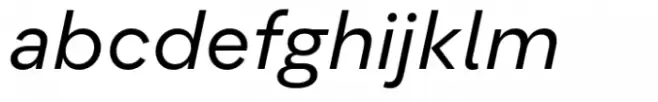Flink Neue Text Regular Italic