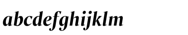 Liet Display Bold Italic
