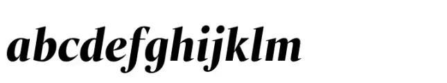 Liet Display Extra Bold Italic