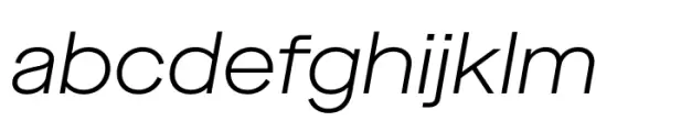 Maison Neue Extended Light Italic