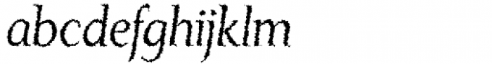 Monkton Aged Italic