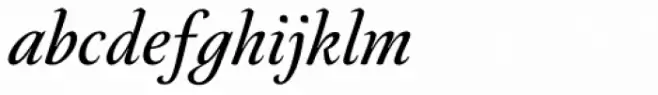 Neftali Pro Medium Italic
