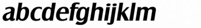 Salzburg Serial Bold Italic