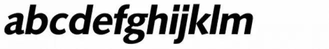 Saxony Serial Bold Italic