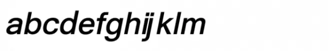 Shree Devanagari 3696 Italic