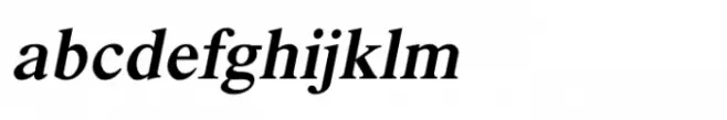 Shree Devanagari 4548 Italic
