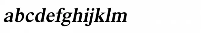 Shree Devanagari 4549 Italic