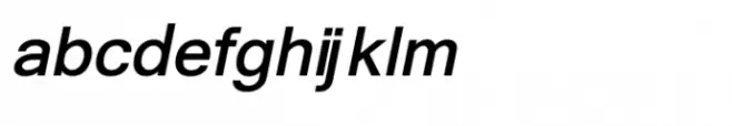Shree Gujarati 1103 Bold Italic