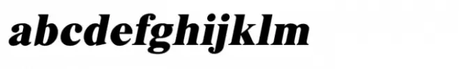 Shree Gujarati 3341 Italic