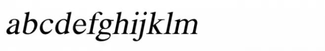 Shree Gujarati 3347 Italic