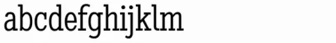 Stint Condensed Pro Book