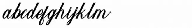 Werklust Bold Italic